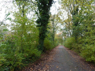 2014 10 30 Seniorenochtend Slotdag
